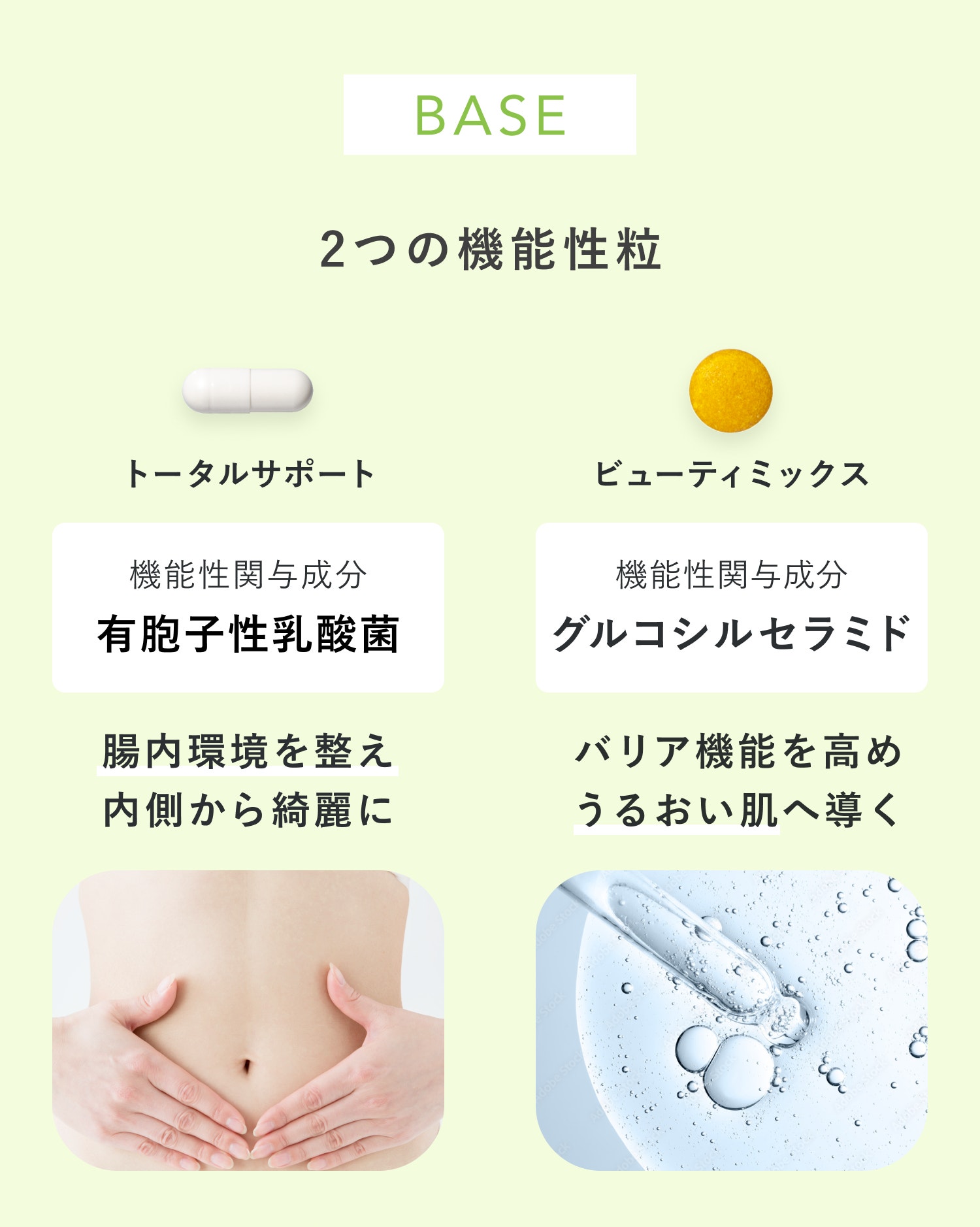 BASE 2つの機能性粒 トータルサポート 機能性関与成分 有胞子性乳酸菌 腸内環境を整え内側から綺麗に ビューティミックス 機能性関与成分 グルコシルセラミド バリア機能を高めうるおい肌へ導く